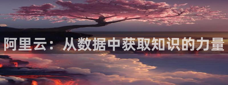 彩神4代理：阿里云：从数据中获取知识的力量