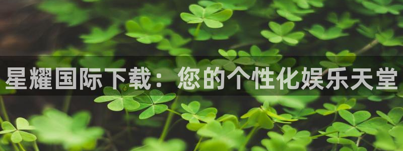 东莞市彩神电子科技有限公司：星耀国际下载：您的个性化娱乐天堂
