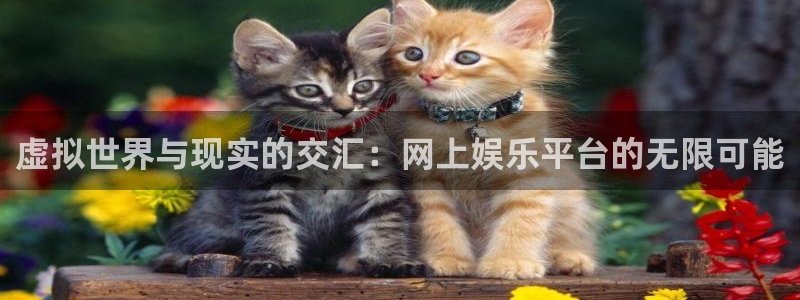 彩神体育2官网入口：虚拟世界与现实的交汇：网上娱乐平台的无限可能