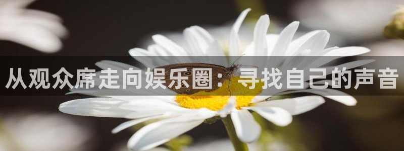 彩神凯捷平台：从观众席走向娱乐圈：寻找自己的声音