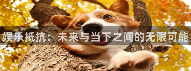 彩神3登录：娱乐抵抗：未来与当下之间的无限可能