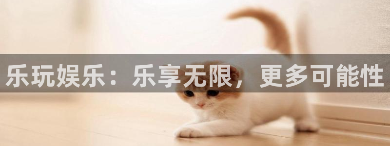 彩神5招商：乐玩娱乐：乐享无限，更多可能性