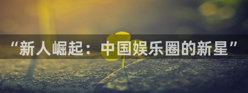 彩神2体育登录入口：“新人崛起：中国娱乐圈的新星”