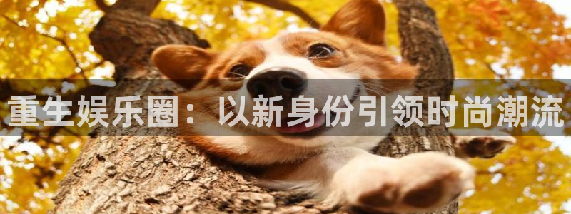 彩神体育和杏耀是哪个公司的：重生娱乐圈：以新身份引领时尚潮流