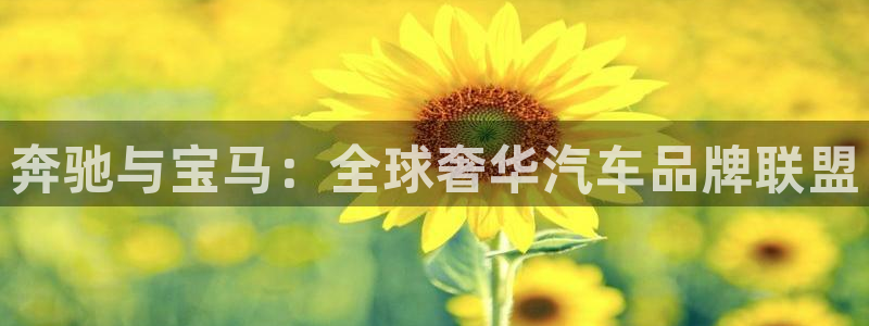 彩神游戏有哪些好玩的：奔驰与宝马：全球奢华汽车品牌联盟