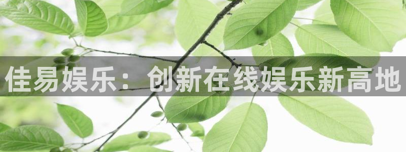 彩神招商：佳易娱乐：创新在线娱乐新高地
