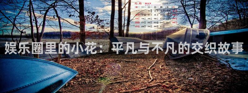 彩神体育凯捷代理注册：娱乐圈里的小花：平凡与不凡的交织故事