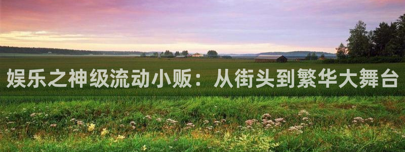 彩神3注册：娱乐之神级流动小贩：从街头到繁华大舞台