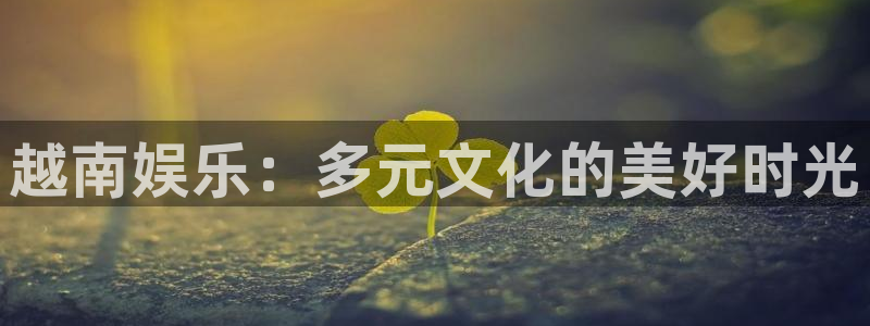 彩神体育注册登录入口：越南娱乐：多元文化的美好时光
