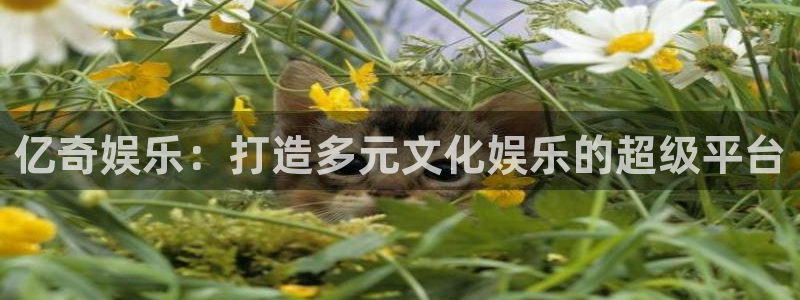 彩神包怎么样：亿奇娱乐：打造多元文化娱乐的超级平台