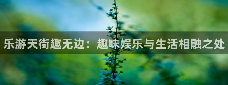 彩神体育注册登录入口：乐游天街趣无边：趣味娱乐与生活相融之处