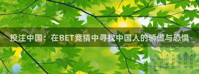 彩神4注册：投注中国：在BET竞猜中寻找中国人的骄傲与恐惧