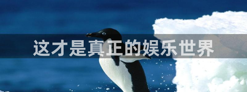 彩神3平台登录注册：这才是真正的娱乐世界