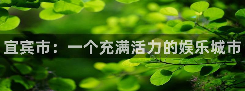 彩神体育和杏耀是哪个公司的：宜宾市：一个充满活力的娱乐城市